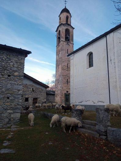 Pensjonat Rifugio Uschione Chiavenna Zewnętrze zdjęcie